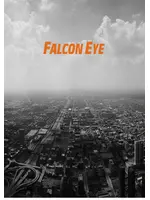 FALCON EYE FE-916DE