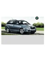 Инструкция Skoda Fabia II (2009)