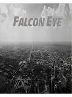 FALCON EYE FE-IPC-HFW3300P