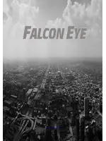 FALCON EYE FE-SD6582