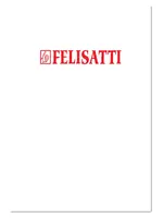 FELISATTI FS140/2200