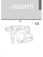 FELISATTI RH26/36сVR
