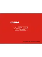 IRBIS GS 110сс 4т
