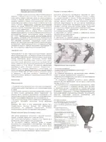 FIT 81035