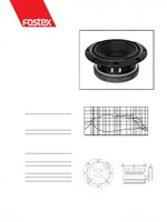 FOSTEX FW168N
