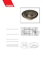 FOSTEX FW305