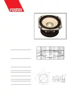 FOSTEX FX120
