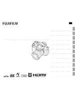 FUJIFILM HS10