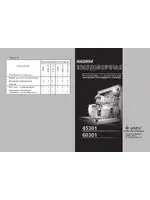 GEFEST 45301