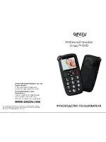 GINZZU R31 DUAL