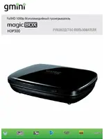 GMINI HDP300