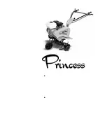 GRILLO PRINCESS III