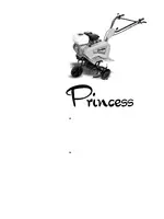 GRILLO PRINCESS V3 PRO