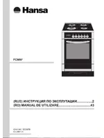 HANSA FCMI 516494