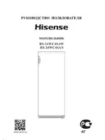 HISENSE RS 24WC4SAW
