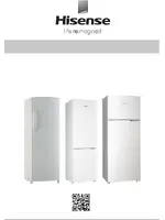HISENSE RS-23DR4SAW