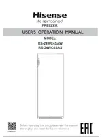 HISENSE RS-24WC4SAS