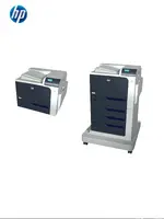 HP Color LaserJet Enterprise CP4525dn (CC494A)