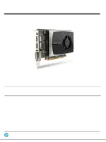HP nVidia Quadro 2000 1GB PCIE 2xDP DVI (WS094AA)