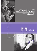LINCOLN MKX (2010) SYNC