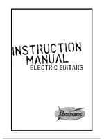 IBANEZ Electric Guitars (2009)
