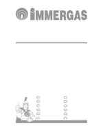 IMMERGAS MINI S 24 kW Nike