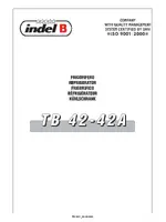 INDEL B TB 42 A