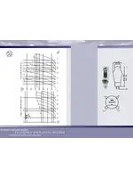 JJ ELECTRONIC 300B (matched)