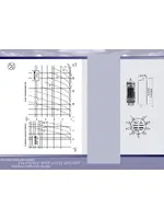 JJ ELECTRONIC ECC99 Gold Plated Pins