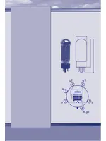 JJ ELECTRONIC EL509 (matched)