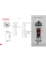 JJ ELECTRONIC EL844 (matched)