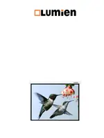 LUMIEN Master Picture LMP-100102