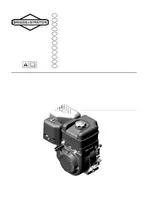 BRIGGS & STRATTON Series 875