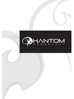 PHANTOM DV-100
