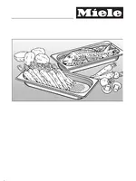 MIELE DG6200 EDST/CLST